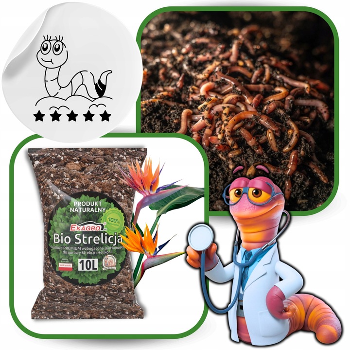 Ziemia do Strelicji i helikonii BIO Bigos Podłoże Premium 10L