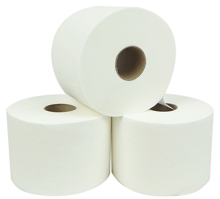 Papier Tork Advanced 110771 T4 30 rolek po 50m 2W BEZZAPACHOWY miękki