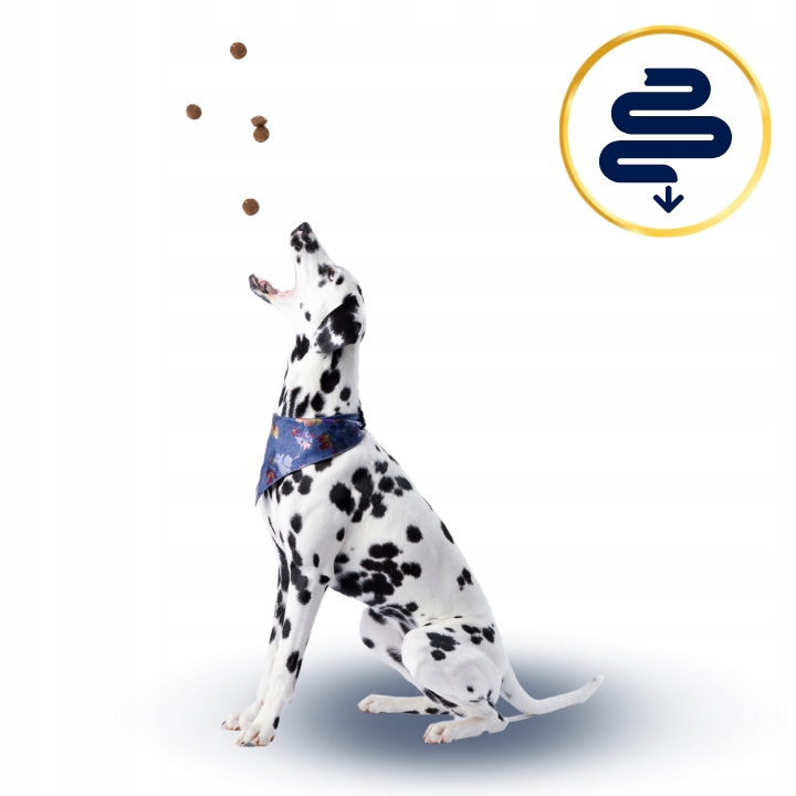 SUCHA KARMA DLA PSA POLARIS ADULT BEZ ZBÓŻ WOŁOWINA INDYK 12KG ŚWIEŻE MIĘSO