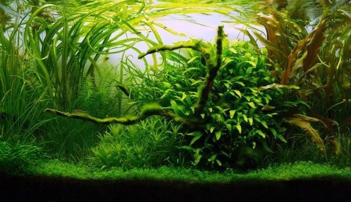 GLINA MIELONA AKWARYSTYCZNA podłoże Akwarium 15KG