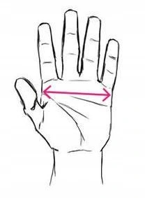 Rękawice Rękawiczki skórzane treningowe na siłownię męskie ćwiczeń Polednik