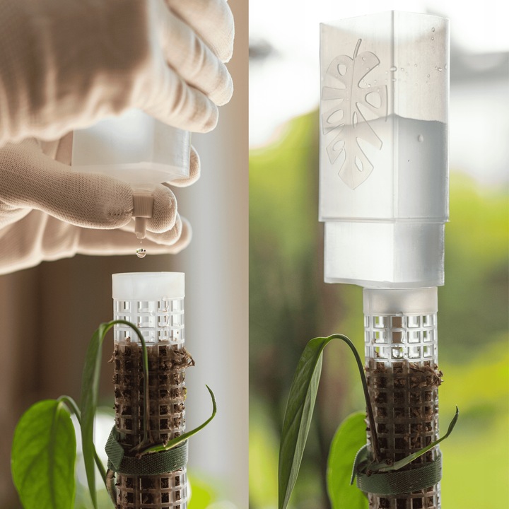 Mech Sphagnum 8L Besgrow Spagmoss Classic torfowiec 100G podłoże pH