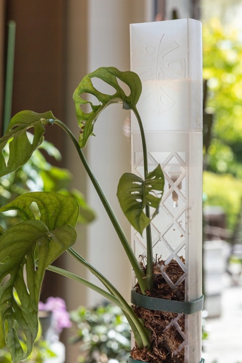 SPHAGROW AQUADRIP Nawadniacz kropelkowy do palika SPHAGROW D-6-25