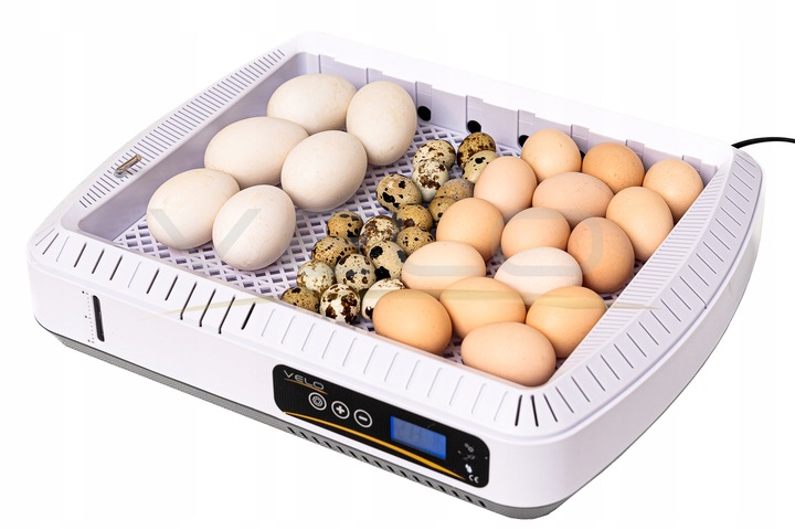 INKUBATOR AUTOMATYCZNY VELO na 35 JAJ do KURZYCH INDYCZYCH GĘSICH KACZYCH