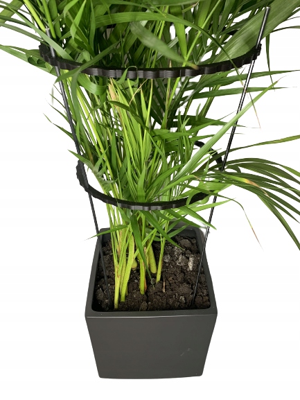 Podpórki do roślin kwiatów podpora pierścieniowa podpórka RINGS S33cm 16/18