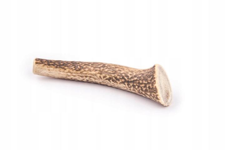 4DOGS Gryzak z poroża - poroże jelenia L hard