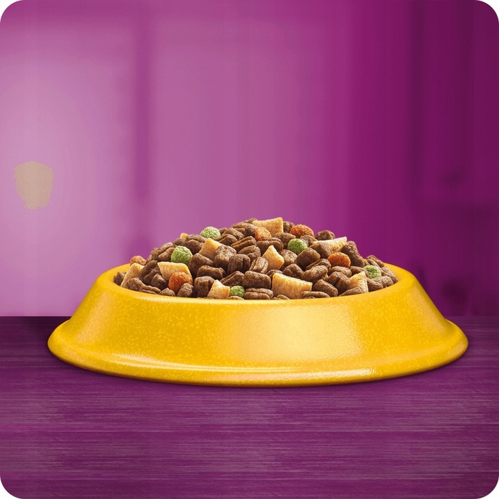 SUCHA KARMA WHISKAS STERILE DLA KOTA PO STERYLIZACJI Z KURCZAKIEM 14KG