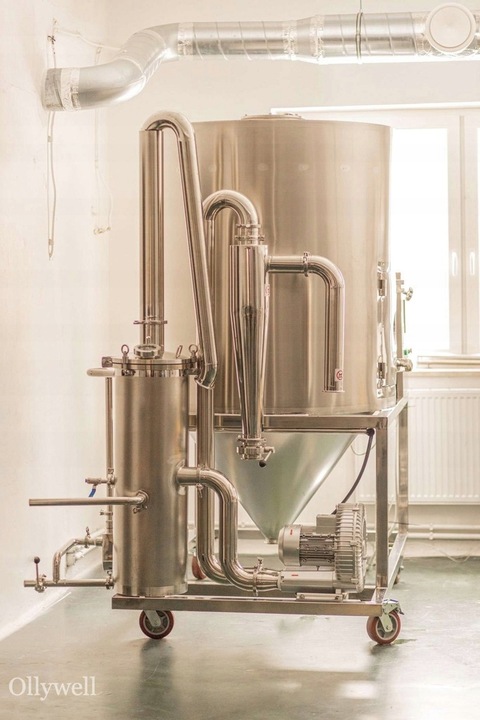 Polska Witania ospała Ashwagandha Ollywell Krople Silny ekstrakt Adaptogen