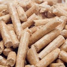 Żwirek eko z drewna dla chomik królik pellet 15kg