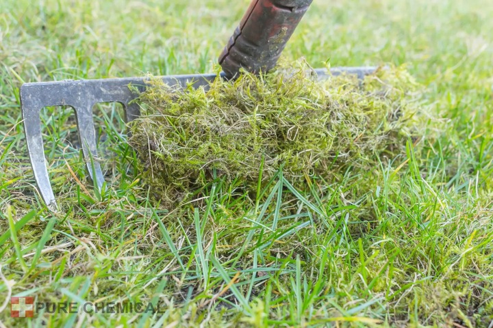 SIARCZAN ŻELAZA NAWÓZ DO TRAWY 25kg