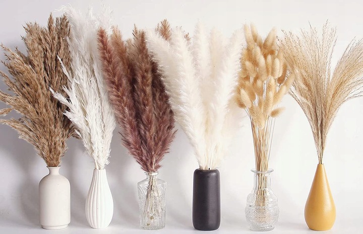 Trawa Ozdobna Pampasowa Suszona Pampasy Do Wazonu