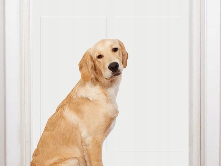 Folia Ochronna Dla Psów Kotów Drapak Gruba Samoprzylepna + Zestaw 152x50cm