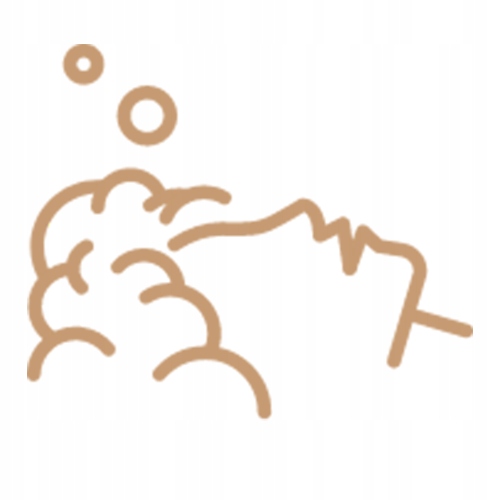 Neboa maska koloryzującą 2w1 Jasny Popielaty Blond 100 ml TONER DO