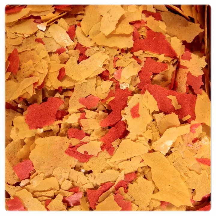 GLOPEX BASIC, EIGELB i VEGETAL MIX pokarm 3x1L