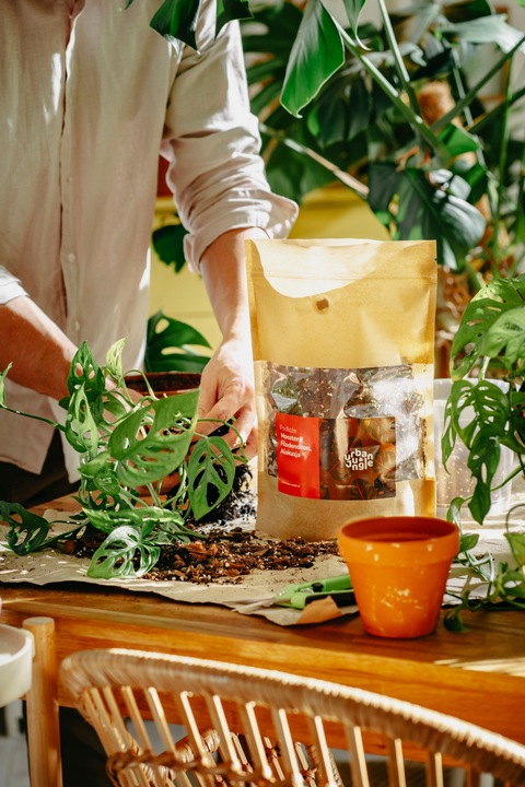 Ziemia do MONSTER, FILODENDRONA, ALOKAZJI, ANTHURIUM EPI 3L bigos,