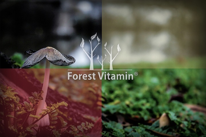 Fosfatydyloseryna 100mg 100kaps PAMIĘĆ NAUKA KONCENTRACJA NOOTROPIK