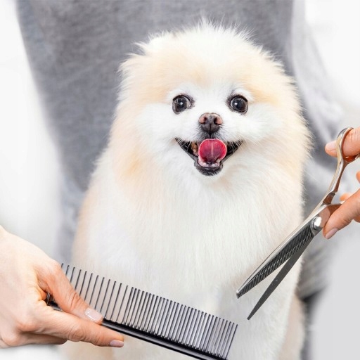 MASZYNKA DO STRZYŻENIA PSA PSÓW KOTÓW ZWIERZĄT GOLARKA ZESTAW CICHA 12W1