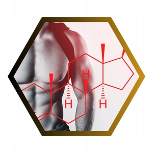 TESTOSTERON Tabletki BOOSTER TESTOSTERONU Pożądanie Libido | INSPORT