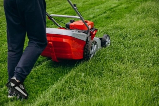 AERATOR WERTYKULATOR GLEBOGRYZARKA KULTYWATOR KOLCE DO NAPOWIETRZANIA