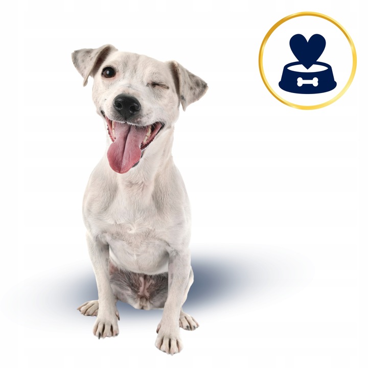 SUCHA KARMA DLA PSA POLARIS ADULT BEZ ZBÓŻ WOŁOWINA INDYK 12KG ŚWIEŻE MIĘSO