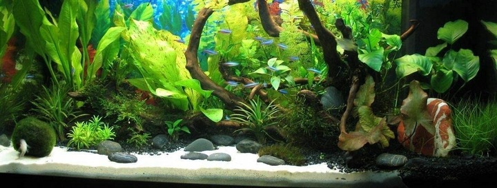 Naturalnie Biały Piasek Kwarcowy do Akwarium 0,5-1mm 24kg