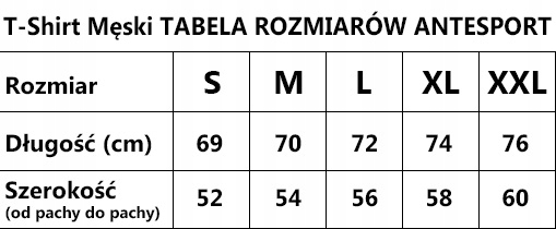 Koszulka Męska Termoaktywna Tshirt Do Biegania L