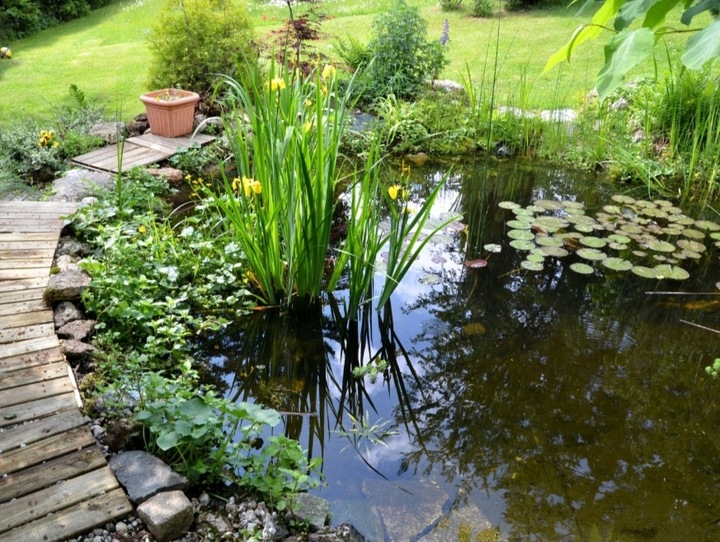 KREDA do stawu oczek wodnych bezpieczna naturalna Normuje PH 24kg