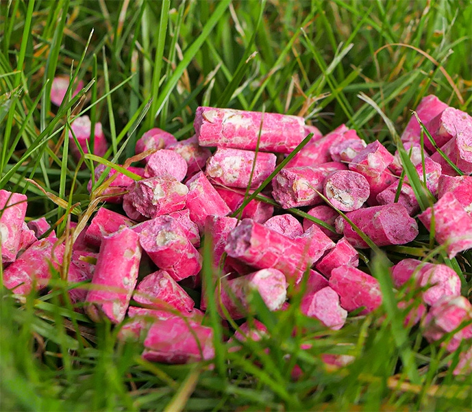 ULTRAMOCNA TRUTKA GRANULAT NA MYSZY I SZCZURY BROMADIOLON STRONG 1KG