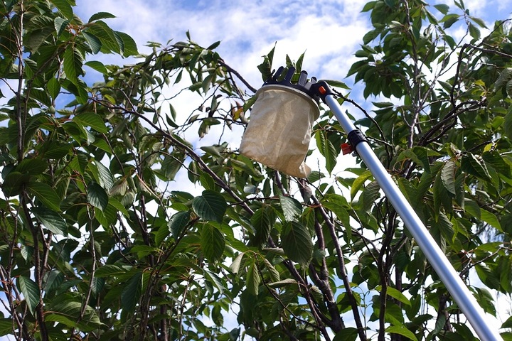 Zbierak do owoców teleskopowy trzonek koszt z tkaniny 3,75m