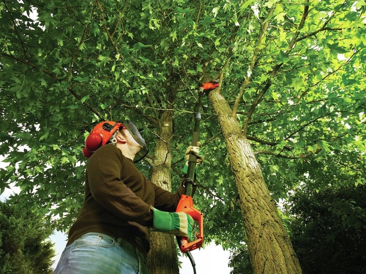 PIŁA ELEKTRYCZNA ŁAŃCUCHOWA NA WYSIĘGNIKU 250MM DO GAŁĘZI 800W