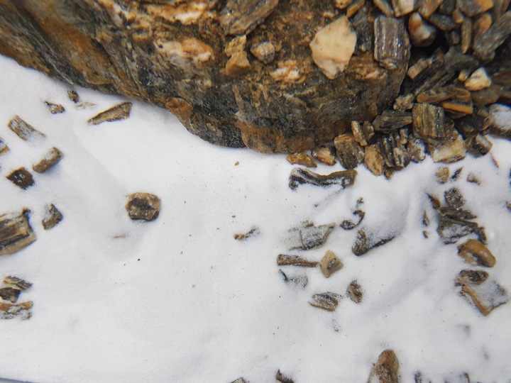 Biały, śnieżnobiały piasek do akwarium PREMIUM