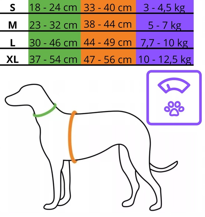 SZELKI BEZUCISKOWE TYPU GUARD + SMYCZ dla KOTA PSA