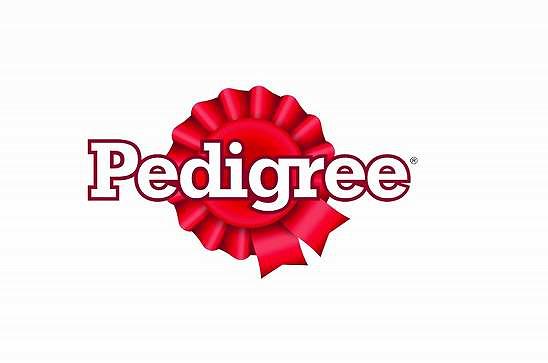 PEDIGREE MOKRA KARMA DLA PSA MIX SMAKÓW W GALARETCE SASZETKI 40 X 100 g