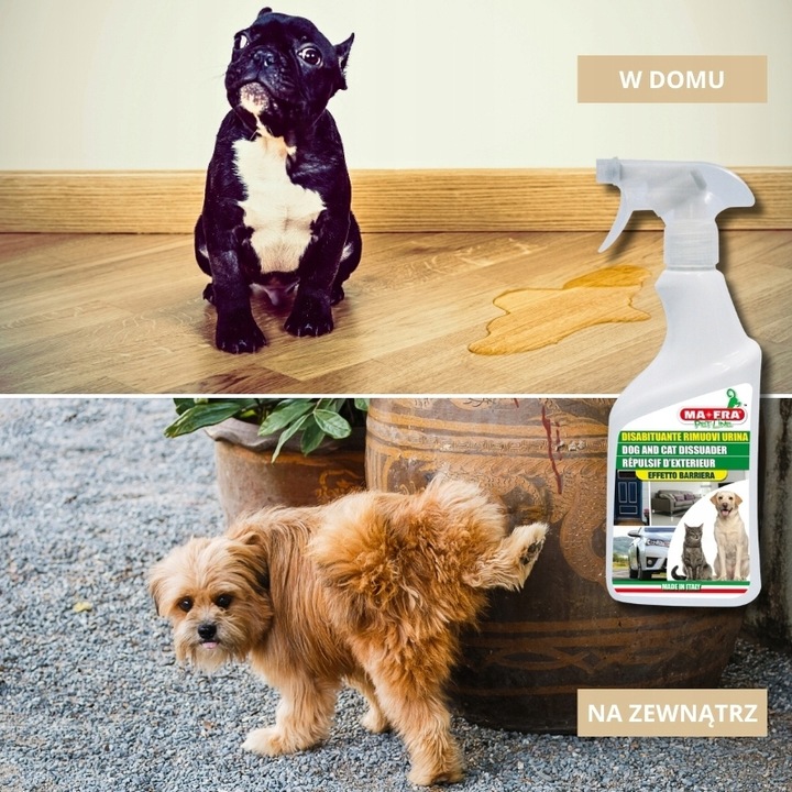 Środek przeciw obsikiwaniu Odstraszacz DISABITUANTE RIMUOVI URINA