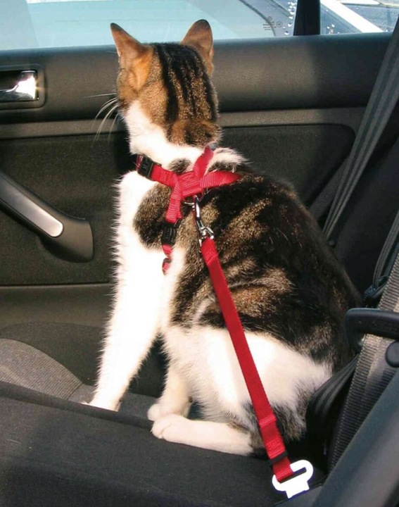 SZELKI SAMOCHODOWE DLA KOTA REGULOWANE Z PASEM SMYCZĄ DO SAMOCHODU TRIXIE