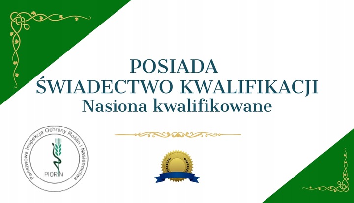 Trawa Nasiona Uniwersalna 5kg na Tereny Suche Trawnik 200m2 Mieszanka Traw