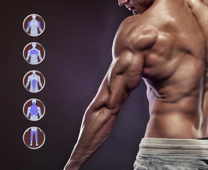 MERACH Wioślarz do 160 kg do domu magnetyczny Bluetooth 16 poziomami oporu