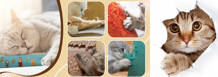 TEKTUROWY DRAPAK dla kota z tektury KOCIMIĘTKA KARTONOWY ekologiczny CATNIP