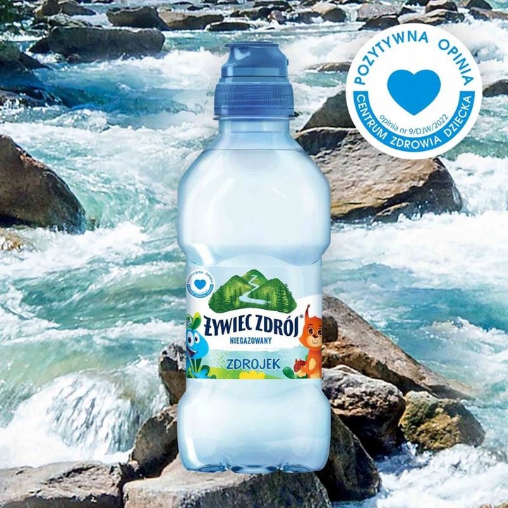 Żywiec Zdrój Zdrojek Niegazowany Woda źródlana ZESTAW 24 x 310 ml