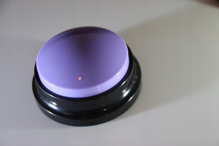 PRZYCISK SZKOLENIA Psa Kota NAGRYWANIE DŹWIĘKU przyciski NAUKA 2szt MP097