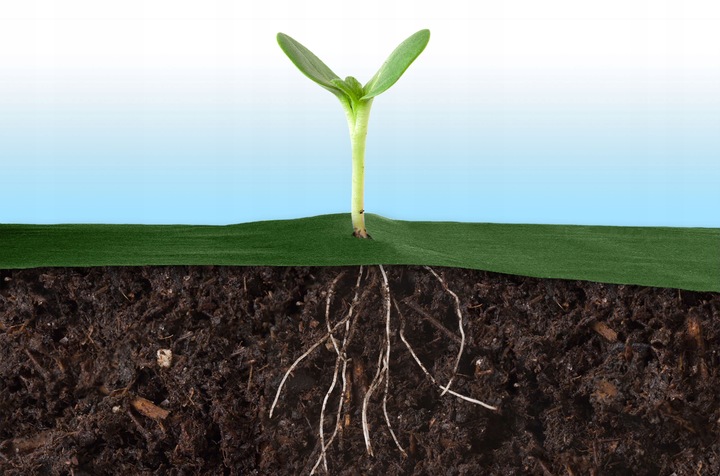 AGROWŁÓKNINA AGROTKANINA UV NA CHWASTY 1,6x100m + 100 SZPILEK