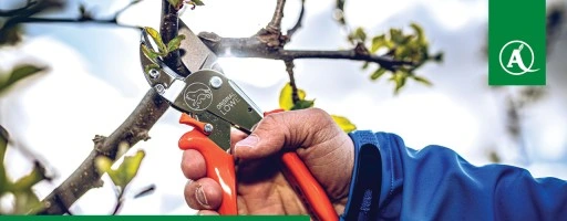 ZESTAW SEKATOR RĘCZNY do CIĘCIA GRUBYCH GAŁĘZI LOWE 10 .107 + OSTRZAŁKA