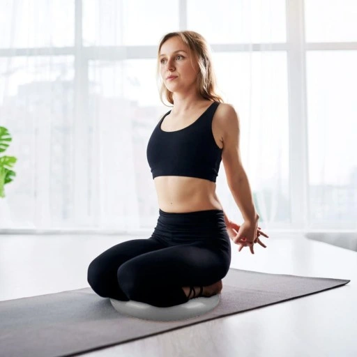 PODUSZKA SENSORYCZNA DYSK SENSORYCZNY DO ĆWICZEŃ JEŻYK DO SIEDZENIA +POMPKA