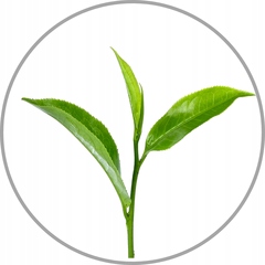 Maska przeciw wypadaniu do włosów niefarbowanych CIEMNYCH Henna WAX 480ml