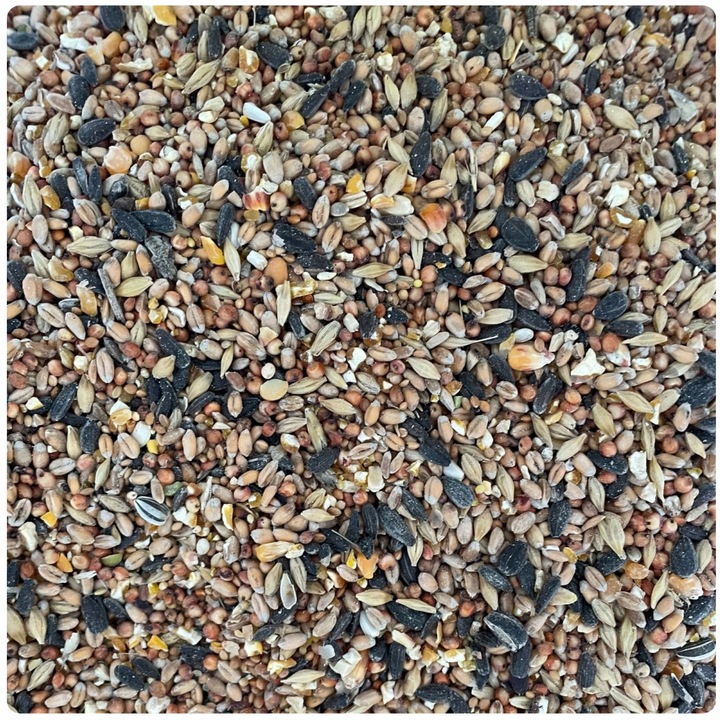 KARMA DLA PTAKÓW 10kg POKARM DROBNE ZIARNO DO KARMNIKA PTASI PRZYSMAK