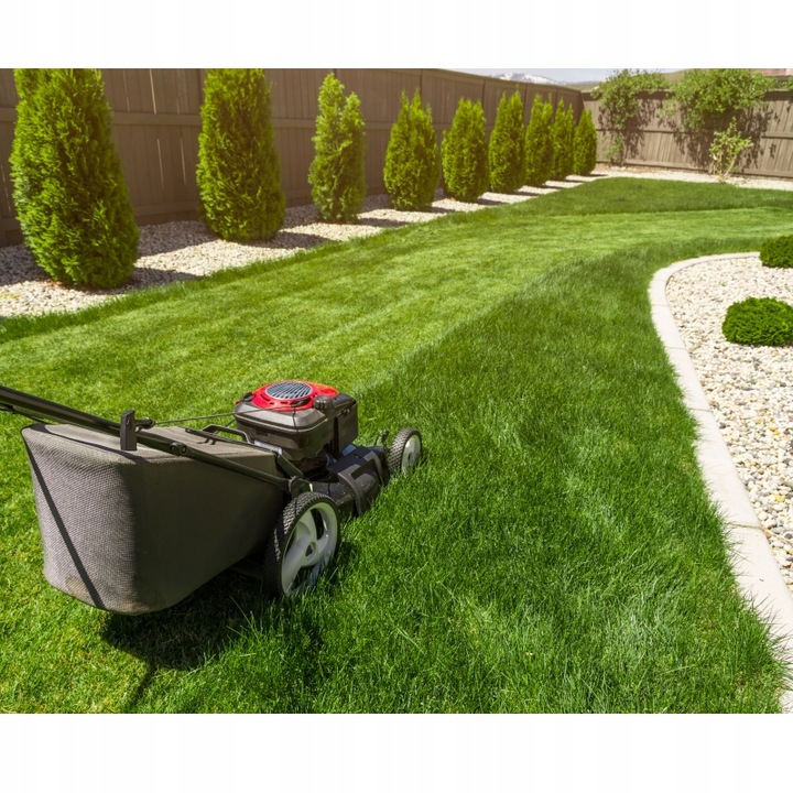 Trawa samozagęszczająca UNIWERSALNA BARENBRUG RPR Lawn 5kg SPORTOWA OTOCZKA