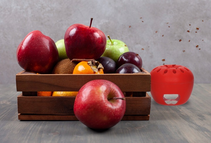 PUŁAPKA NA MUSZKI OWOCÓWKI Z WABIKIEM FRUIT FLY TRAP NO PEST NATURALNA