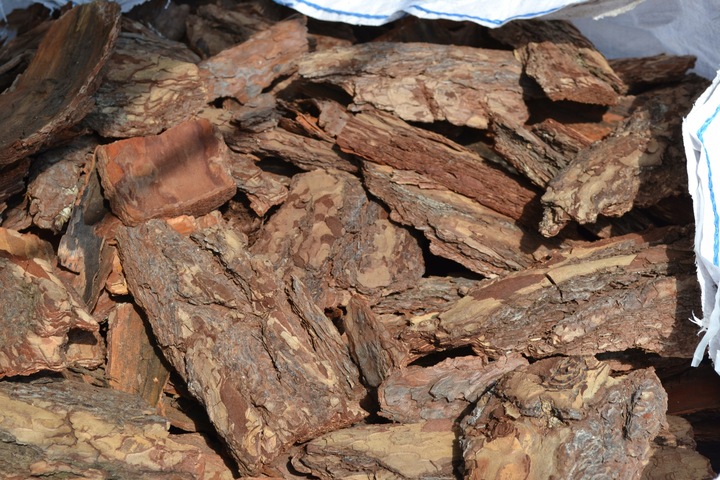 SUPER OZDOBNA Kora sosnowa ręcznie wybierana GRUBA