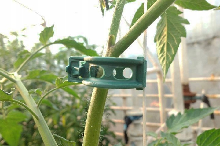 Klips uchwyt zapinka do łodyg pomidora klipsy zapinki zestaw spinki