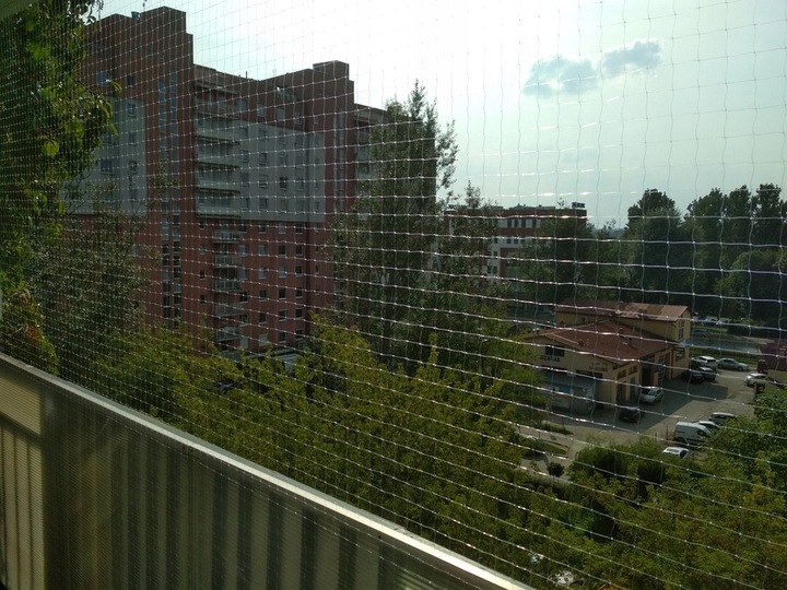 Siatka bezbarwna na balkon przeciw ptakom 5x2 |5x2